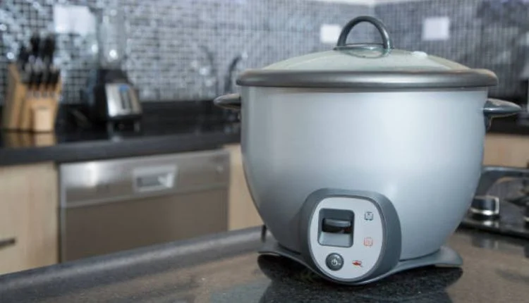 Small Electric Rice Cooker 0.5 Litre